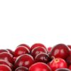 Cranberry
