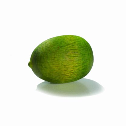 Duftfrucht Melone