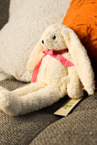 Langohr hase 2